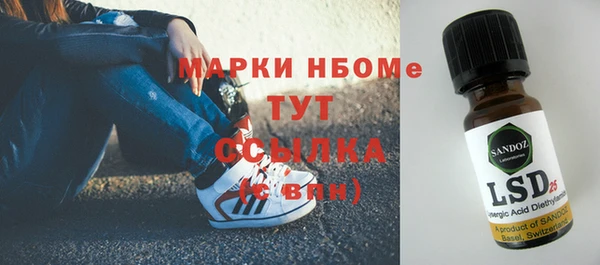 тгк Каменка