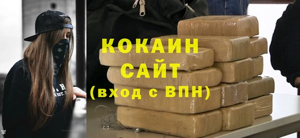 стаф Каменногорск
