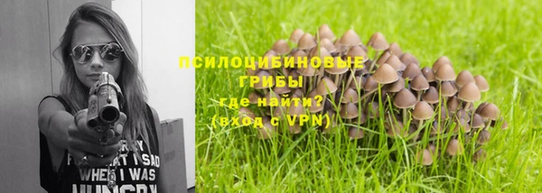 кристаллы Инта