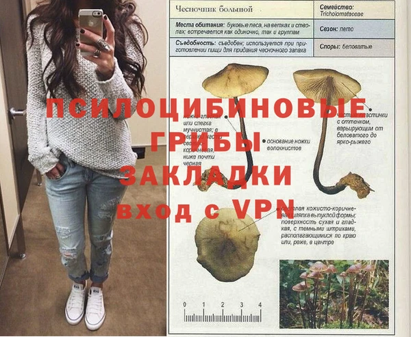 кристаллы Инта